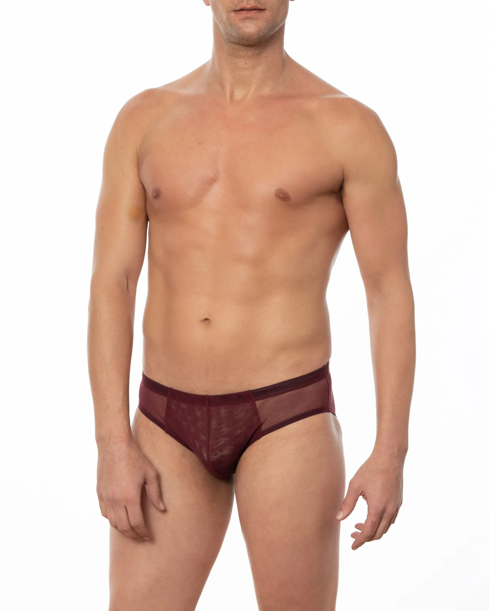 Black - JASPER Sheer Mesh Bikini Brief