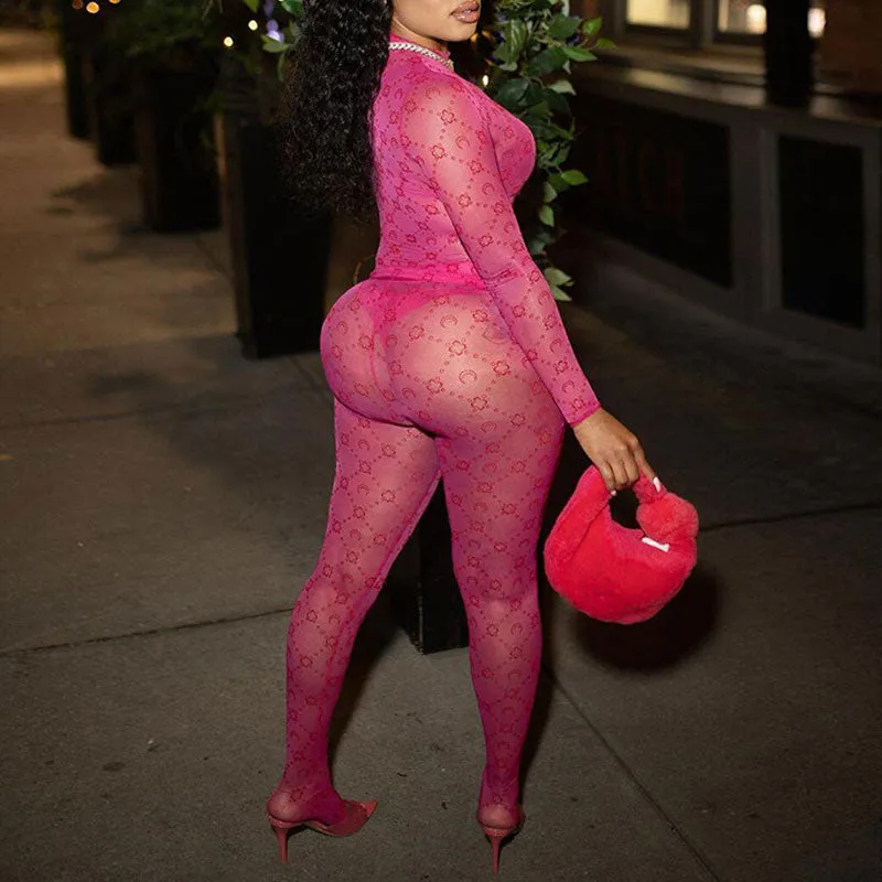 Print Long Sleeve Sheer Mesh Top & Pants Set